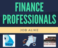 Finance Professionals Job-Alike (SD24-113)