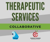 Therapeutic Services Collaborative - Invitation Only (SD24-139)